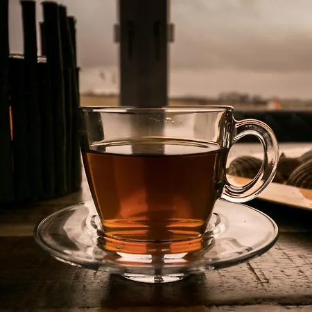 Haus Strandgut 빌라